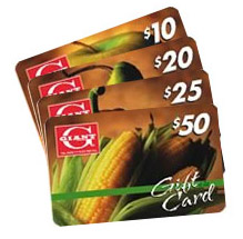 gift-card