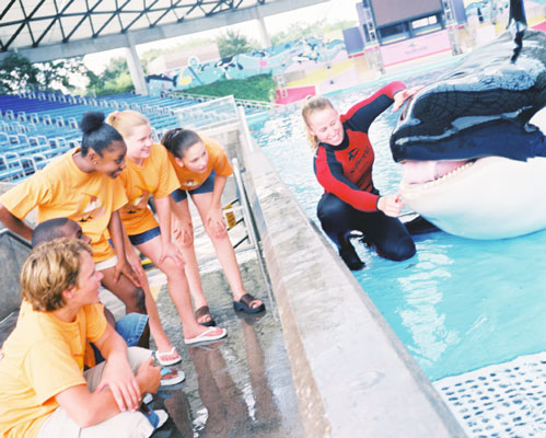 shamu up close