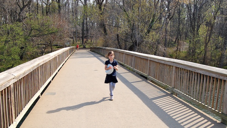 Roosevelt Island bridge