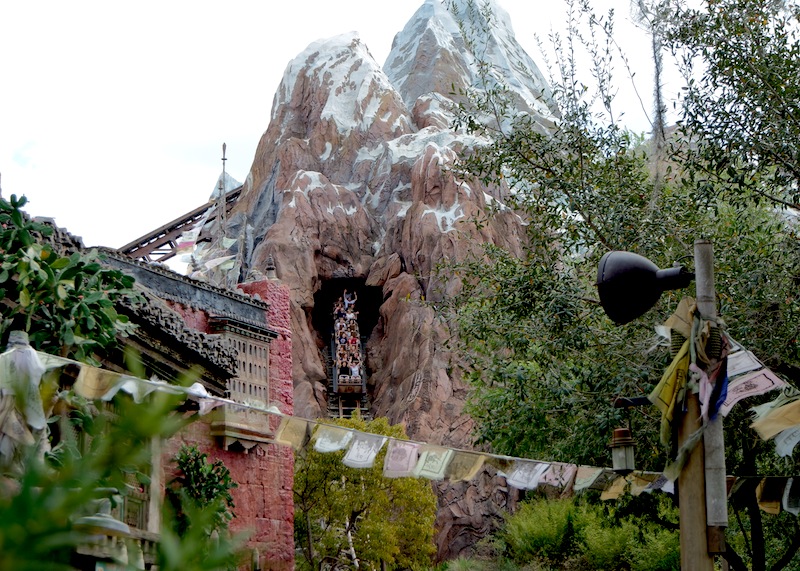 Expedition Everest at Disney's Animal Kingdom